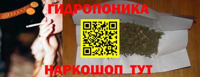 шишки Аргун