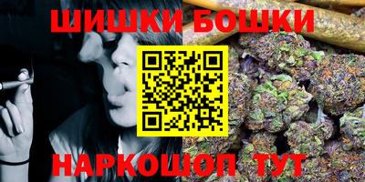 шишки Аргун