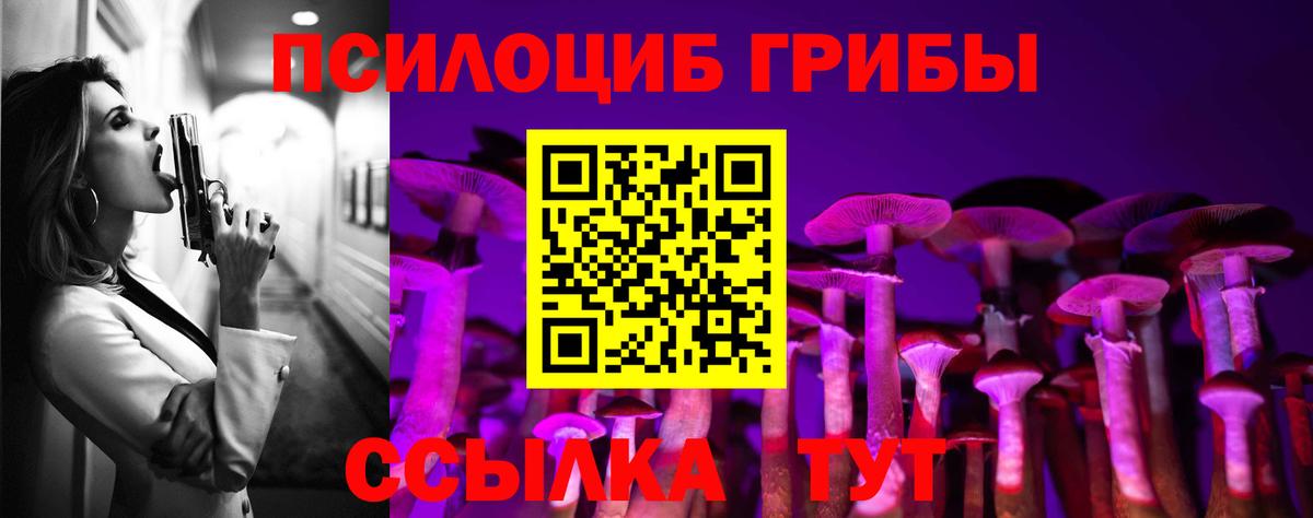 купить наркотики сайты  Галлюциногенные грибы Psilocybine cubensis  Псилоцибиновые грибы GOLDEN TEACHER  Вход с VPN  Ачинск 